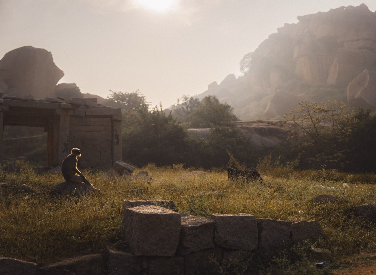 Field photography — Hampi expedition