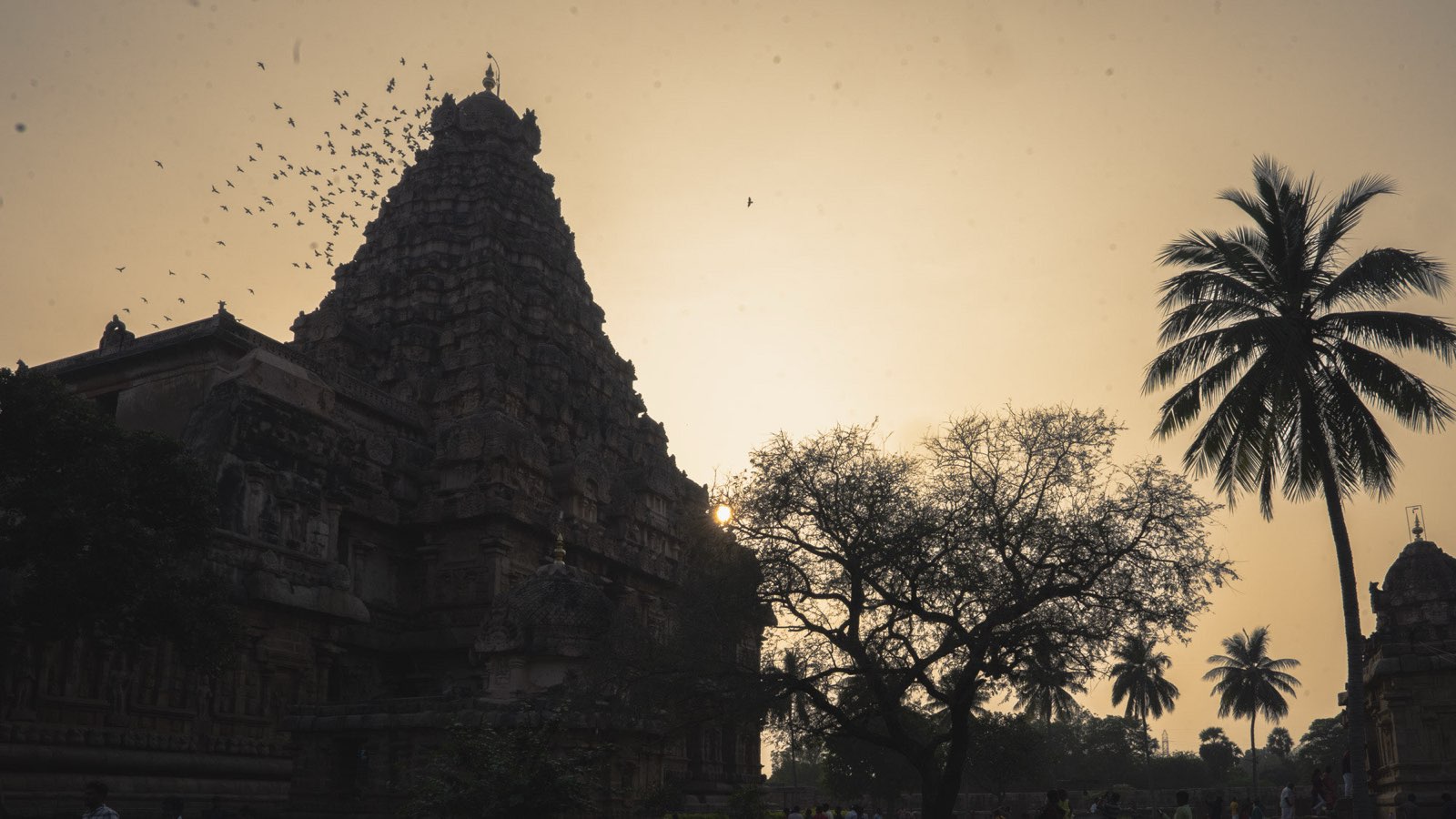 Field photography — Hampi expedition